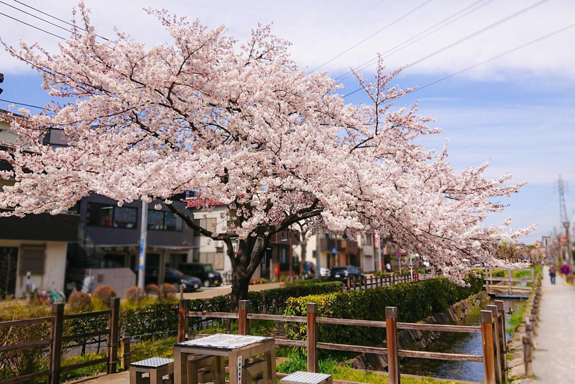 Sc Heights 106 Apartment Tokyo Luaran gambar